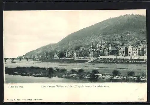 AK Heidelberg / Neckar, Die neuen Villen an der Ziegelhäuser Landstrasse