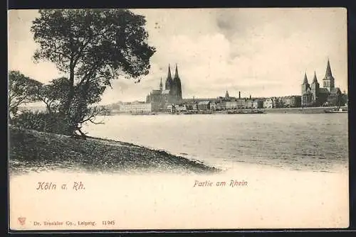 AK Köln, Rheinpartie mit Stadtpanorama