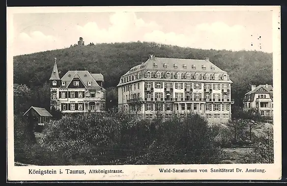 AK Königstein i. T., Wald-Sanatorium von Dr. Amelung