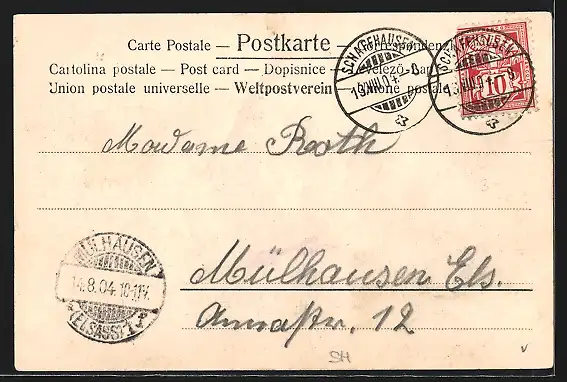 AK Neuhausen, Rheinfall mit Viadukt und Alpen