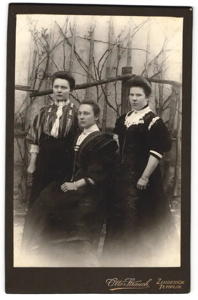 Fotografie Otto Strauch, Zehdenick, Damen in eleganten Kleidern
