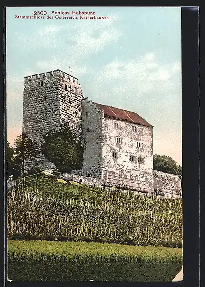 AK Habsburg, Schloss Habsburg