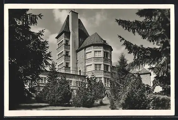 AK Weichsel, Schloss vom Garten betrachtet