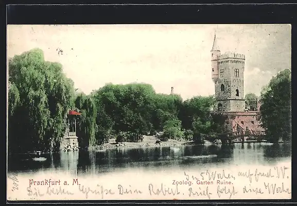 AK Frankfurt a. M., Ruine im Zoolog. Garten