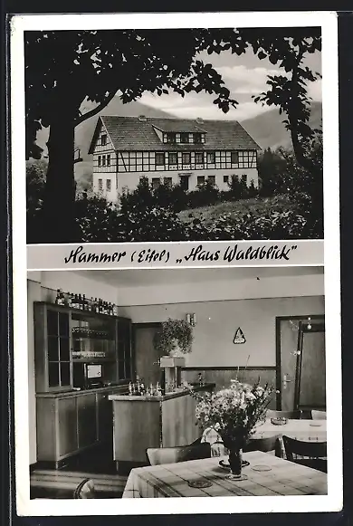 AK Hammer / Eifel, Pension Haus Waldblick, Aussen- und Innenansicht