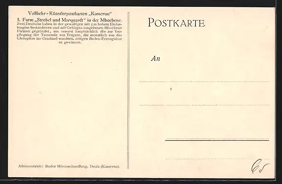 AK Kamerun, Farm Strobel und Marquardt in der Mboebene