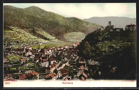 AK Hornberg / Schwarzwald, Ortsansicht mit Umgebung aus der Vogelschau