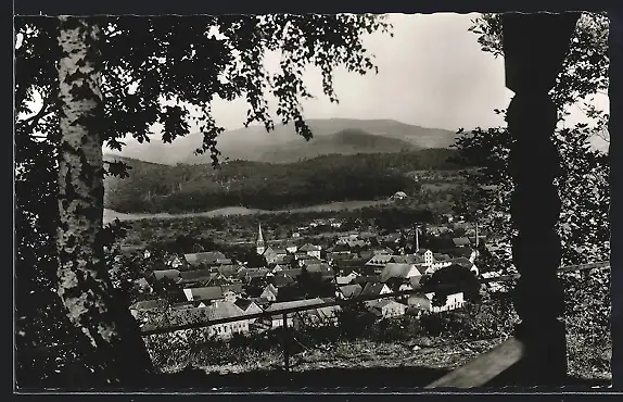 AK Biberach /Kinzigtal, Blick von der Konradskapelle