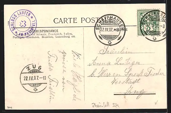 AK Rheinfall, Wasserfall und Panorama