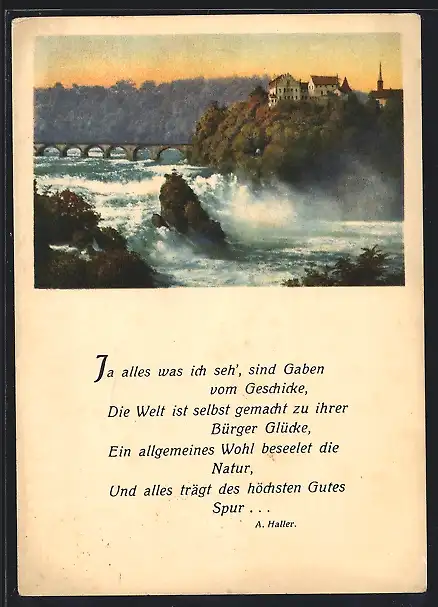 AK Schaffhausen, Rheinfall mit Hotel