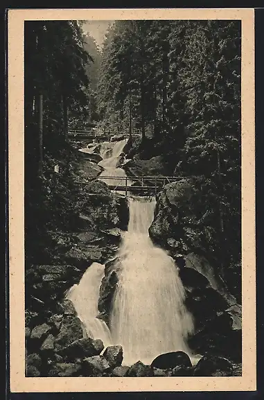 AK Triberg, Wasserfall im bad. Schwarzwald
