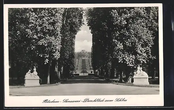 AK Potsdam, Sanssouci, Durchblick zum Schloss