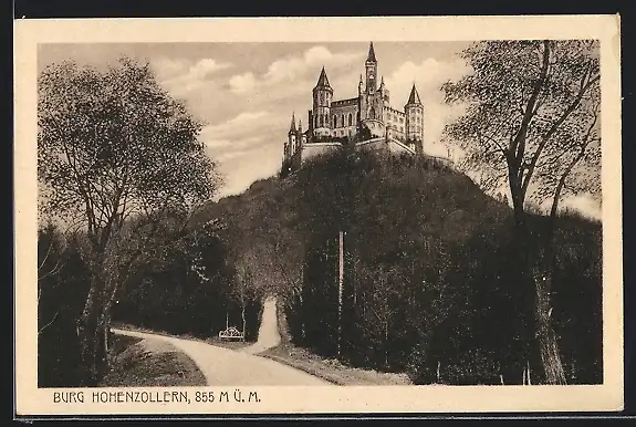 AK Burg Hohenzollern, Ansicht von der Strasse