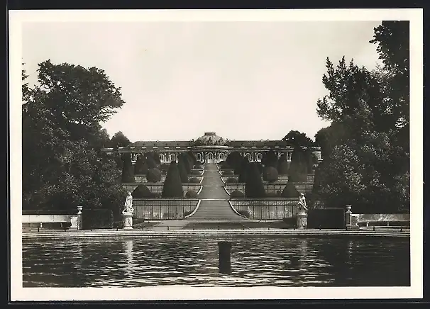 AK Potsdam, Schloss Sanssouci, Frontansicht vom Wasserbecken aus