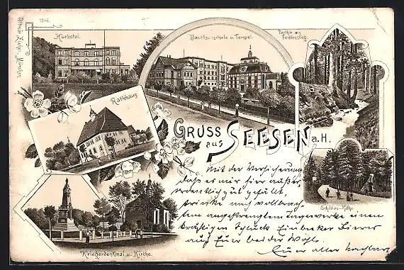 Lithographie Seesen a. H., Kur-Hotel, Rathaus, Jacobsonschule und Tempel, Kriegerdenkmal