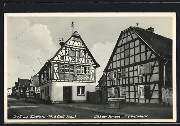 AK Büttelborn /Kreis Gross-Gerau, Blick auf Rathaus mit Storchennest