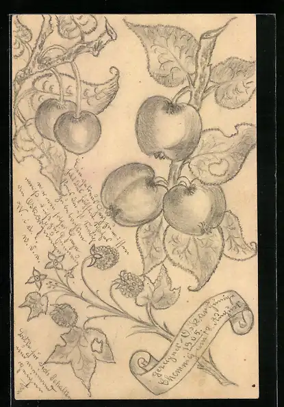 Künstler-AK Handgemalt: Kirschen und Äpfel an Zweigen