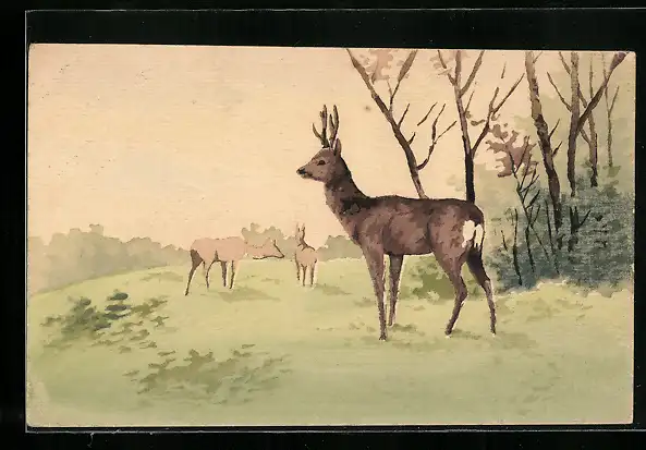 Künstler-AK Handgemalt: Rehbock und Rehe im Wald