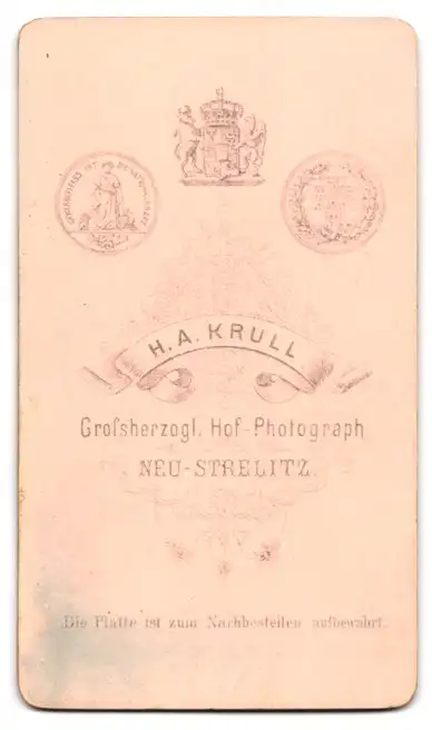 Fotografie H. A. Krull, Neu-Strelitz, Bürgerliche Dame mit Halsband und Kragenbrosche