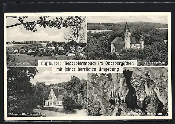 AK Niederbierenbach, Gesamtansicht, Schloss Homburg, Traubengrotte