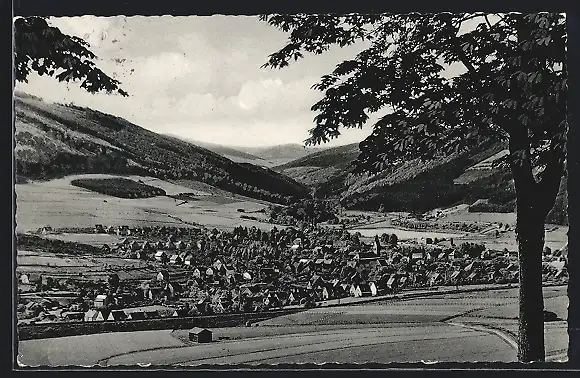 AK Olsberg /Sauerland, Gesamtansicht mit Ruhrtal-Blick