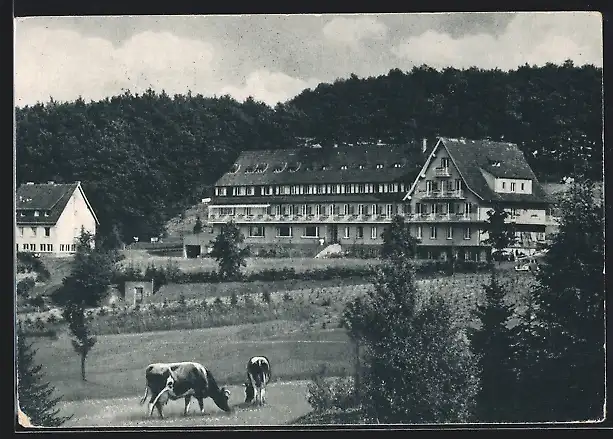 AK Münstereifel, Kneipkurhaus Josefsheim