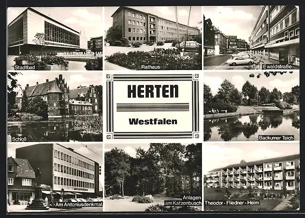 AK Herten /Westfalen, Ewaldstrasse mit Geschäft, Theodor-Fliedner-Heim, Antoniusdenkmal