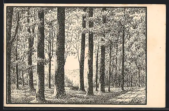 Künstler-AK Olbernhau, Andacht in den heiligen Hallen, 4. Blatt aus Mappe 1 Seele der Heimat, Waldpartie