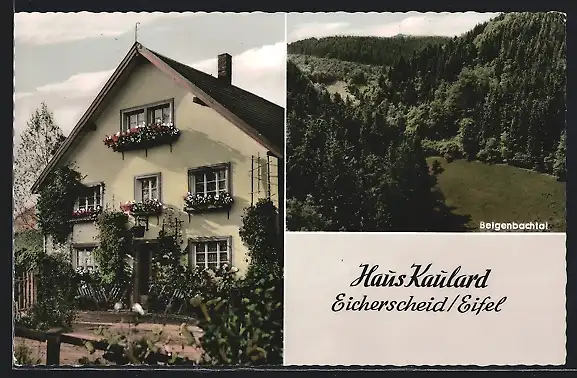 AK Eicherscheid /Eifel, Hotel Haus Kaulard, Belgenbachtal