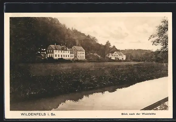 AK Wildenfels i. Sa., Blick nach der Weinleithe