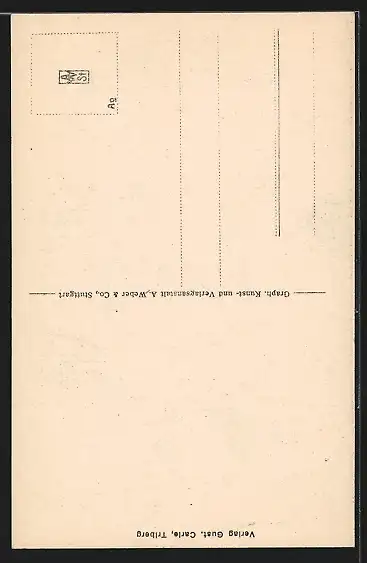 AK Offenburg, Der Schwarzwald aus der Vogelschau, Schematische Ansicht