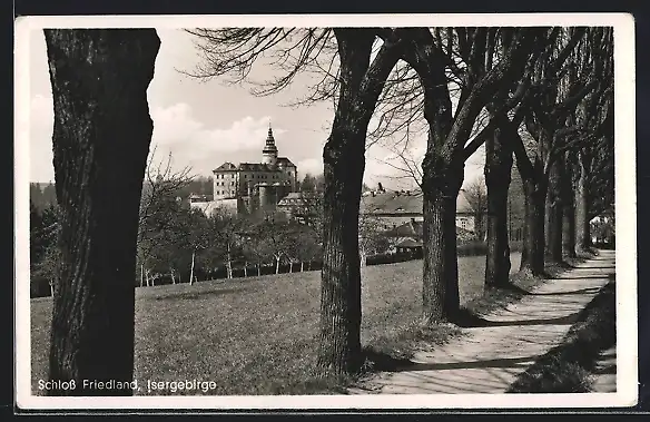 AK Friedland /Isergebirge, Schloss Friedland, von einem Feldweg gesehen