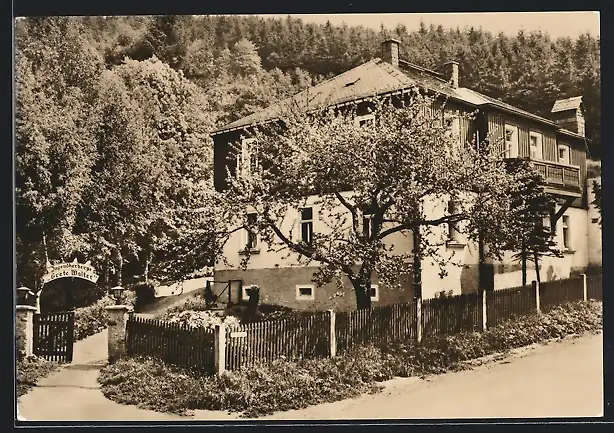 AK Geising / Osterzgeb., Jugendherberge Grete Walter