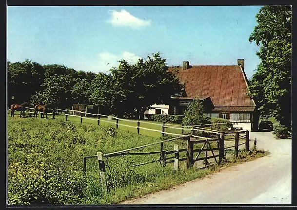 AK Kasseedorf-Bökensberg /Holst.-Schweiz, Strassenpartie mit Gasthaus-Pension H. Dittmann