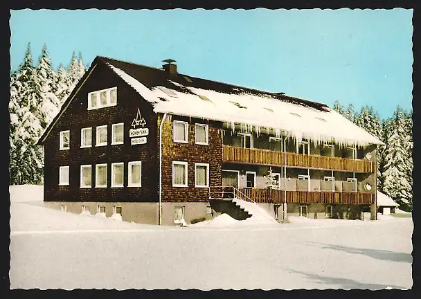 AK Freudenstadt-Kniebis, Hotel-Pension Hohentann Fam. Happe im Schnee