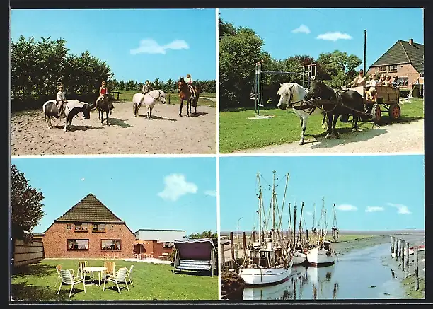 AK Tating-Tümlauer Koog, Ferienhof Frey, Mehrfachansicht