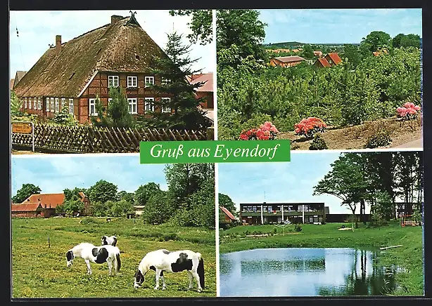 AK Eyendorf /Lüneb. Heide, Reetdachhaus, Gehöft mit Kühen