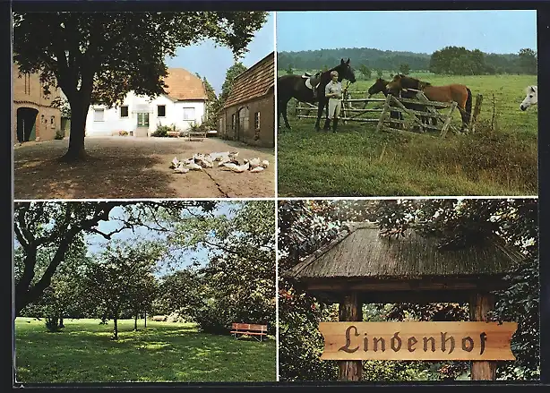 AK Homfeld / Aukrug, Lindenhof I. Henning, Urlaubs-Bauernhof