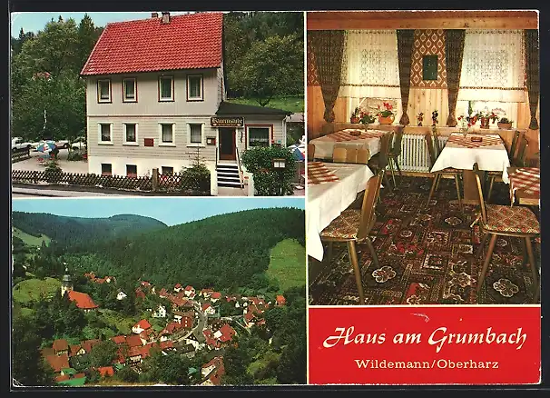 AK Wildemann /Harz, Pension Haus am Grumbach E. Bauer, Ortsansicht