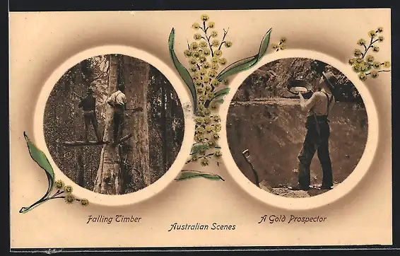 AK Melbourne, Falling Timber, a Gold Prospector