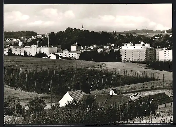 AK Mainburg /Hallertau, Ortsansicht von einem Weinberg aus