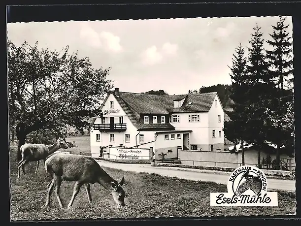 AK Fürth (Odw.), Rasthaus und Pension Eselsmühle