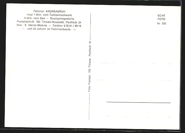 AK Titisee-Neustadt, Pension Andreasruh E. Mentz-Wehrle, Ortsansicht, Seepartie