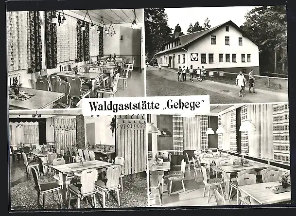 AK Brotterode /Th., Waldgaststätte Gehege