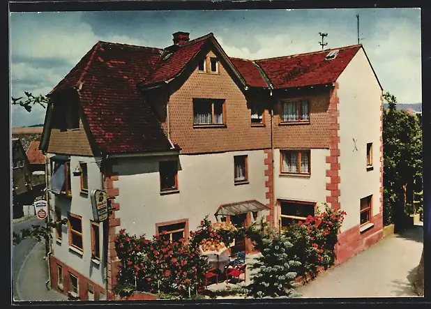 AK Erbach /Odw., Gasthaus-Pension Wolfsschlucht H. Stock aus der Vogelschau