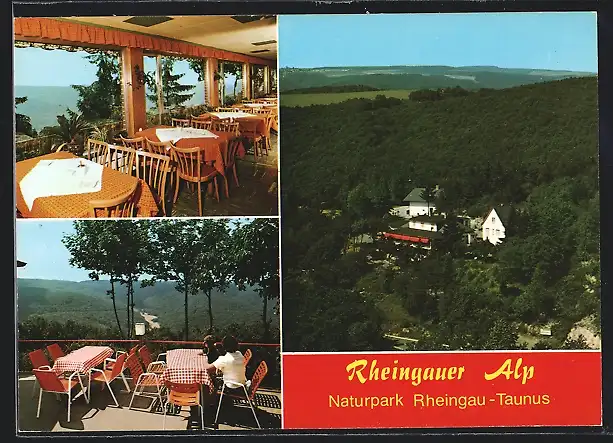 AK Pressberg /Rüdesheim, Gaststätte Rheingauer Alp Fam. Bieger