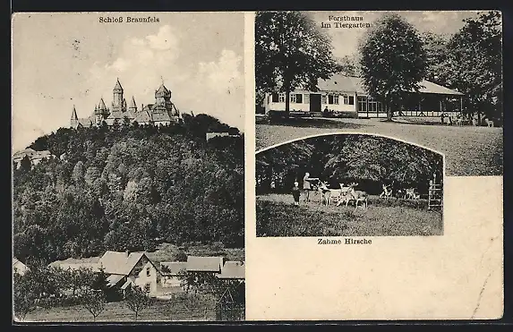 AK Braunfels, Schloss, Gaststätte Forsthaus im Tiergarten