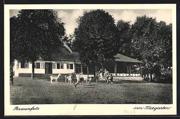 AK Braunfels, Gaststätte Forsthaus im Tiergarten, mit zahmem Wild