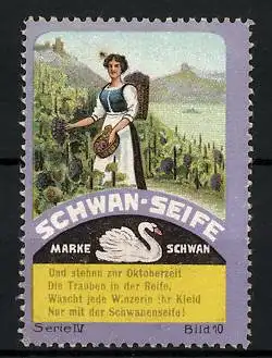 Reklamemarke Schwan-Seife, Winzerin bei der Traubenlese, Serie IV, Bild 10