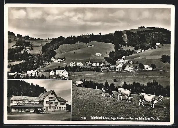 AK Rehetobel /Kaien, Gasthaus-Pension Scheidweg, Gesamtansicht mit Kühen